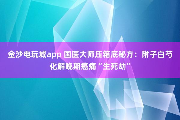金沙電玩城app 國醫(yī)大師壓箱底秘方:附子白芍化解晚期癌痛“生死劫”