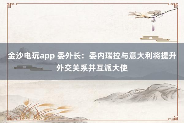 金沙電玩app 委外長：委內瑞拉與意大利將提升外交關系并互派大使
