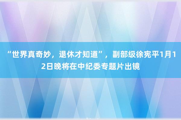 “世界真奇妙，退休才知道”，副部級徐憲平1月12日晚將在中紀委專題片出鏡