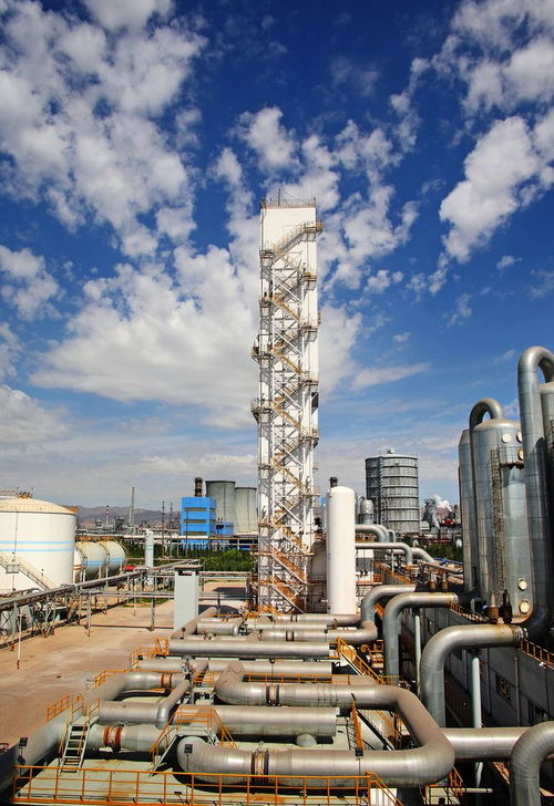 基礎化工行業 把握確定性強的子賽道