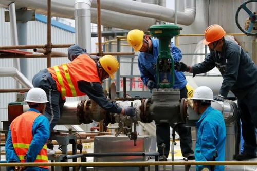 恒通化工 模擬股份制凝聚發(fā)展合力