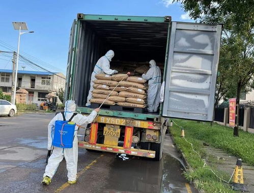 疫情風暴來襲，化工行業面臨全域封控下的檢修停產潮